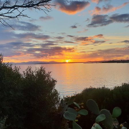 Apartament Nora Pula Zewnętrze zdjęcie